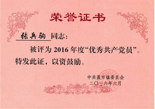 優(yōu)秀共產(chǎn)黨員榮譽證書