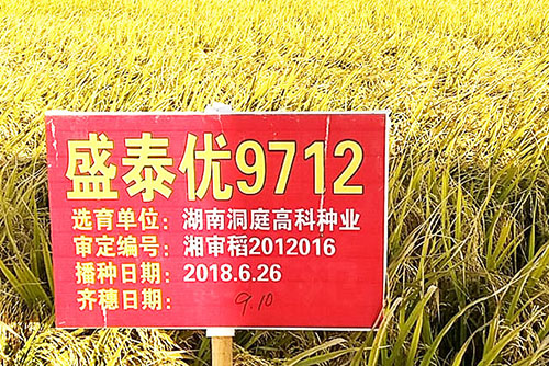 基地實(shí)拍