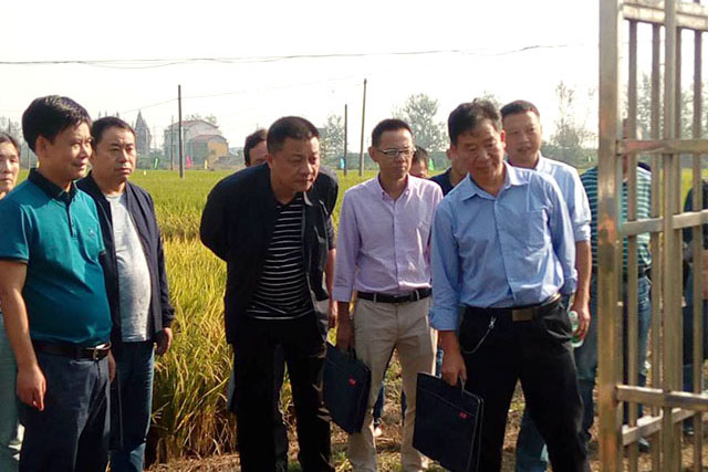 岳陽(yáng)市農(nóng)委副主任陳剛一行視察合作社病蟲(chóng)精準(zhǔn)測(cè)報(bào)點(diǎn)