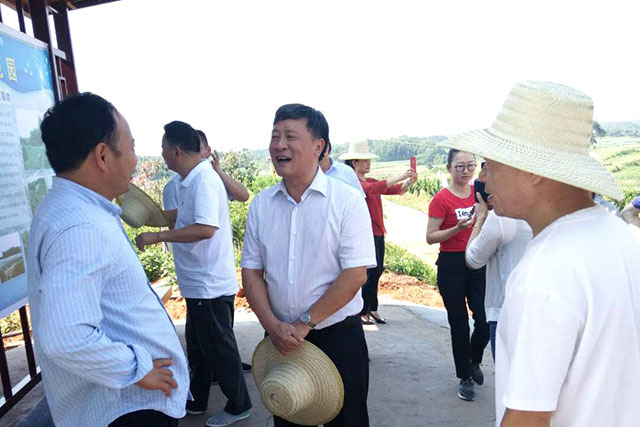 臨湘市人大常委會(huì)主任魏新詠一行視察合作社示范基地現(xiàn)場(chǎng)